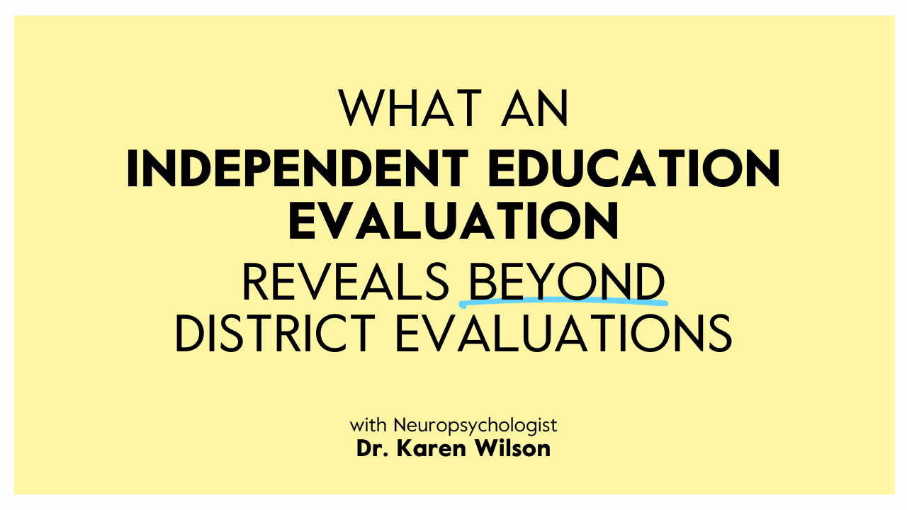 What an Individual Education Evaluation Reveals